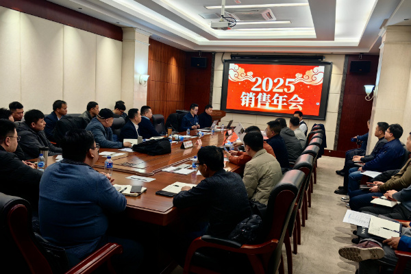 龙腾马跃启新程 凝心聚力创辉煌——2025年公司销售年会圆满落幕